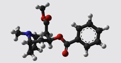 [N° 19 - Qu'est-ce qui mettra fin à notre civilisation ?]