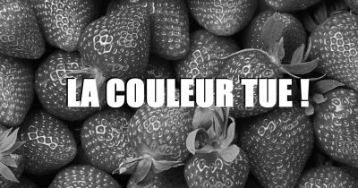 [N° 29 - La couleur est une drogue qui tue !]