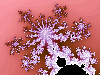 [mandel15.gif]