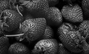 [Fraises en noir et blanc]