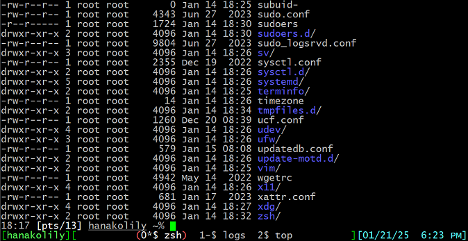 [Capture GNU Screen]