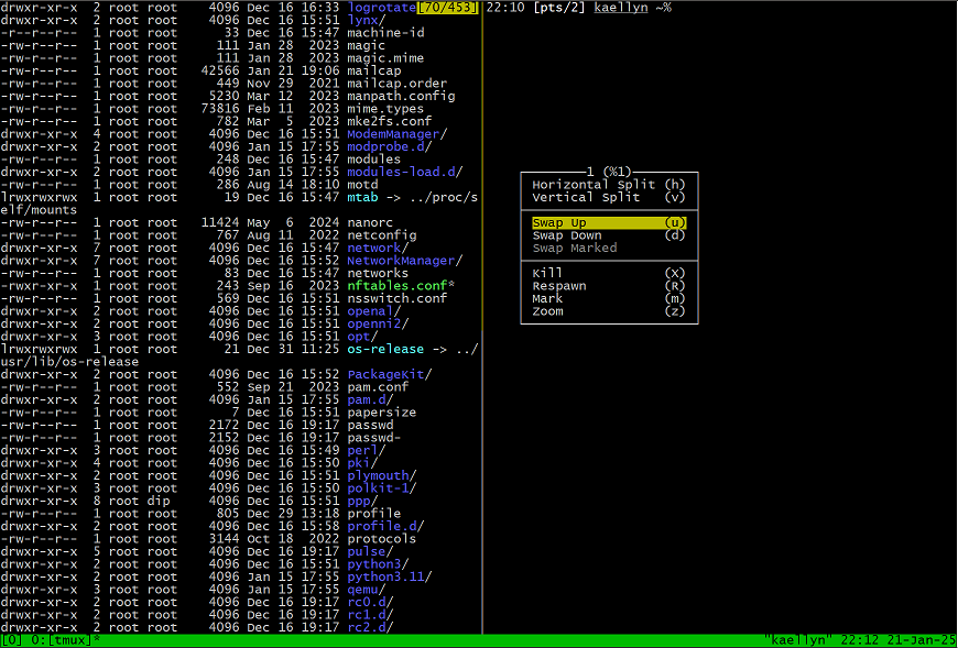 [Capture tmux menu]