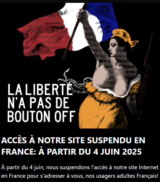 [L'accueil d'un des sites de Aylo depuis la France]