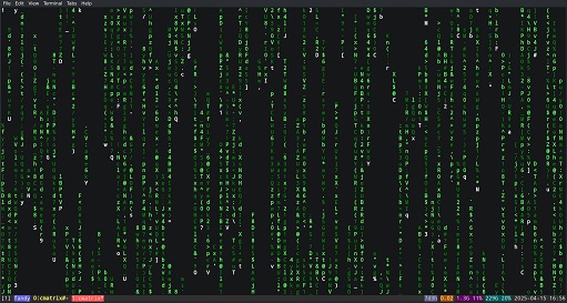[Capture cmatrix 1]