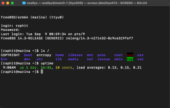 [Accès à la console d'une VM avec Screen - #3]