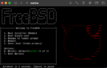 [Boot de la VM configurée ci-dessus]