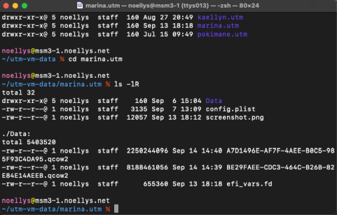 [Le contenu du sous-répertoire d'une VM en particulier]