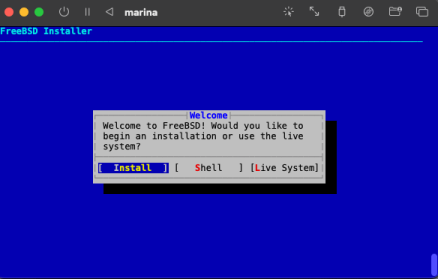 [Le programme d'installation de FreeBSD sur la VM]