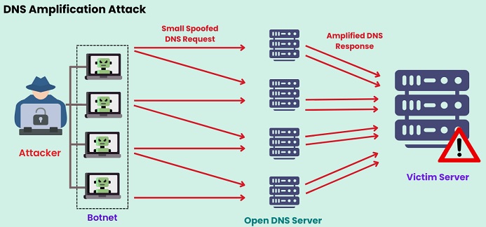 [Schéma d'une attaque par amplification DNS]