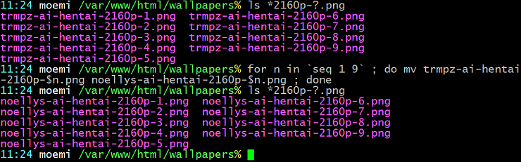 [Exemple de boucle shell]