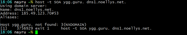 [Domaine 'ygg.guru' ne résolvant plus]