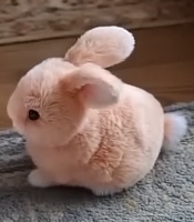[Scam Lapin IA]