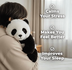 [Visuel promotionnel Pandy #1]