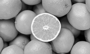 [Oranges en noir et blanc]